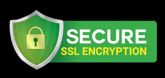 Logo do SSL na internet